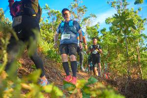 BIB: 2318
                            <button type="button" onclick="openModal(21842189)" class="btn btn-primary btn-sm float-right btn-popup" data-toggle="modal" data-target=".modal-high-quality">
                        <i class="fas fa-shopping-cart"></i> Add to Cart
                    </button>
                                            <button type="button" onclick="isThisMe(21842189, true)" class="btn btn-success btn-sm float-right btn-popup btn-isme hidden" data-toggle="tooltip" data-placement="bottom" title="นี่คือรูปของคุณใช่ไหม คลิกที่นี่เพื่อเอาเข้าอัลบั้ม">
                        <i class="fas fa-plus"></i> Add to album
                    </button>
                    <button type="button" onclick="isThisMe(21842189, false)" class="btn btn-warning btn-sm float-right btn-popup btn-isnotme hidden">
                        <i class="fas fa-ban"></i> Remove from album
                    </button>